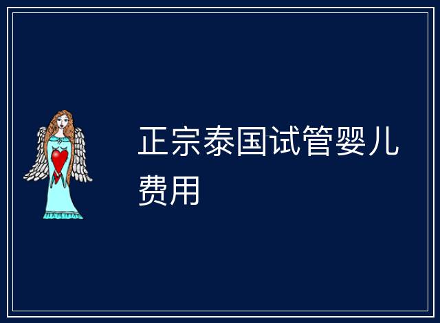 正宗泰國試管嬰兒費用
