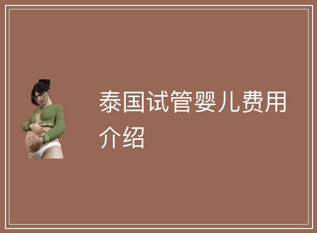 泰國試管嬰兒費用介紹
