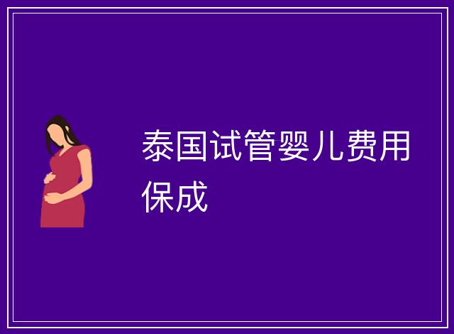 泰國試管嬰兒費用保成