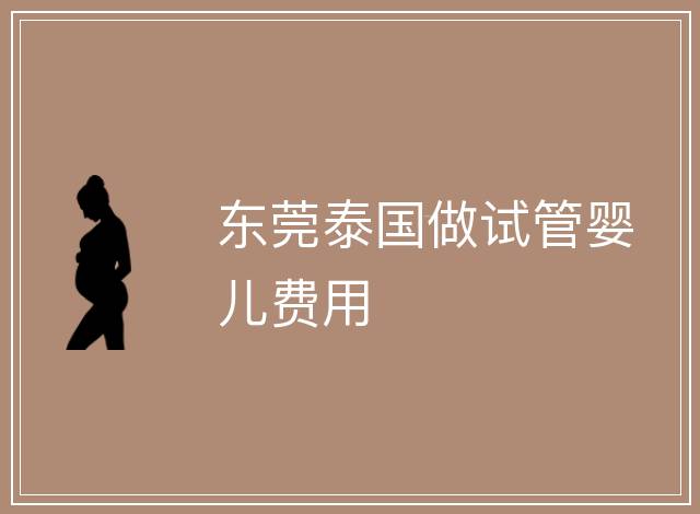 東莞泰國(guó)做試管嬰兒費(fèi)用