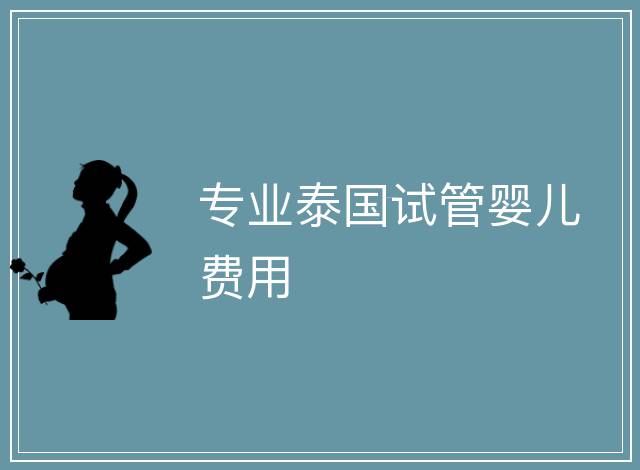 專業(yè)泰國(guó)試管嬰兒費(fèi)用