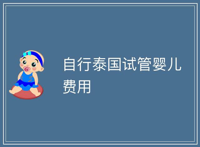 自行泰國試管嬰兒費用