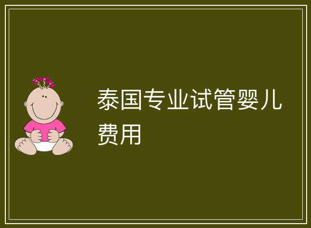泰國專業試管嬰兒費用