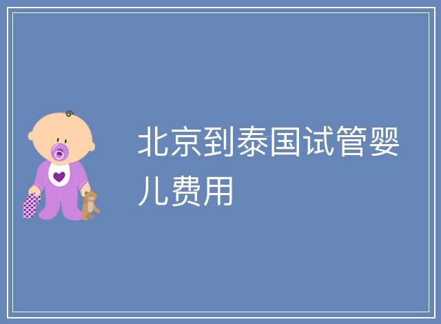 北京到泰國試管嬰兒費用