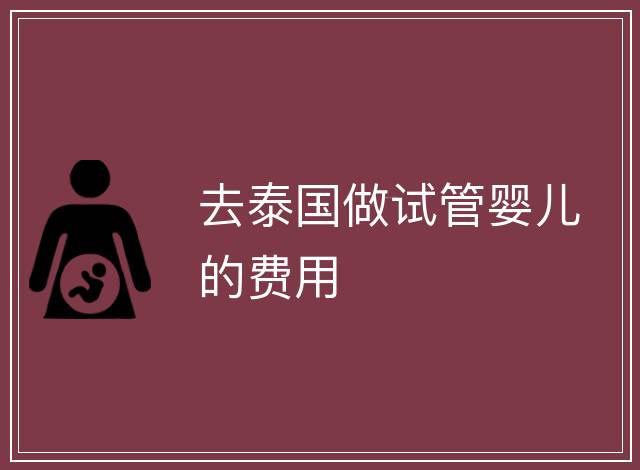去泰國做試管嬰兒的費用