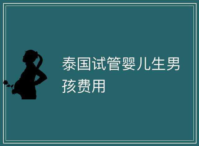 泰國試管嬰兒生男孩費用