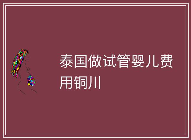 泰國(guó)做試管嬰兒費(fèi)用銅川