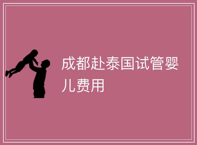 成都赴泰國試管嬰兒費用