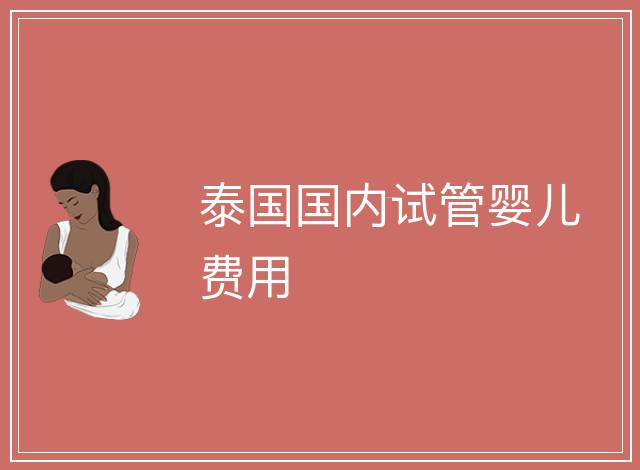 泰國國內試管嬰兒費用