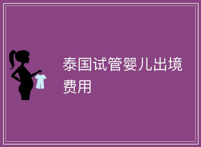 泰國試管嬰兒出境費用