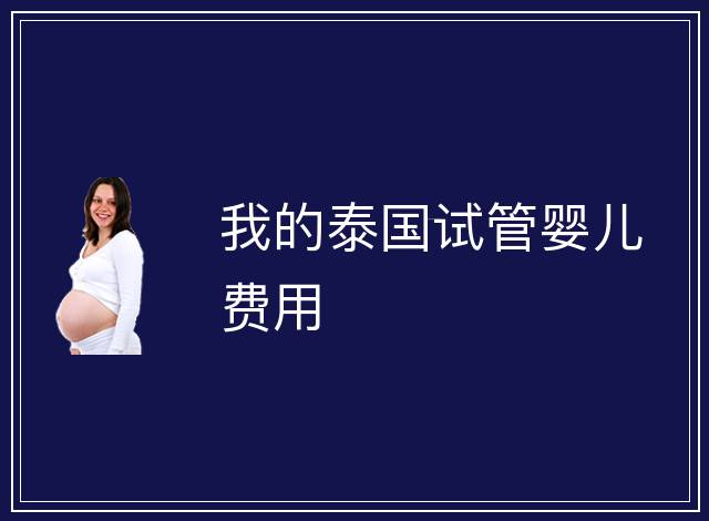 我的泰國試管嬰兒費用
