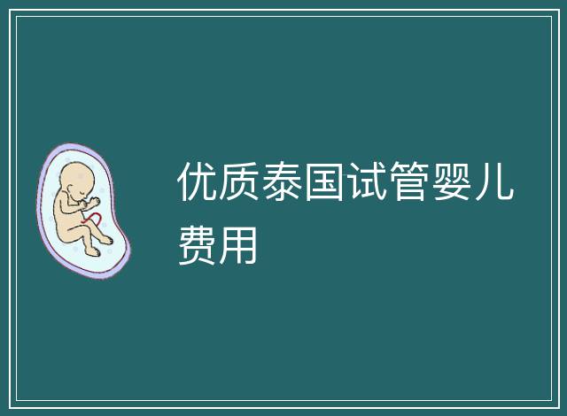 優(yōu)質(zhì)泰國試管嬰兒費用
