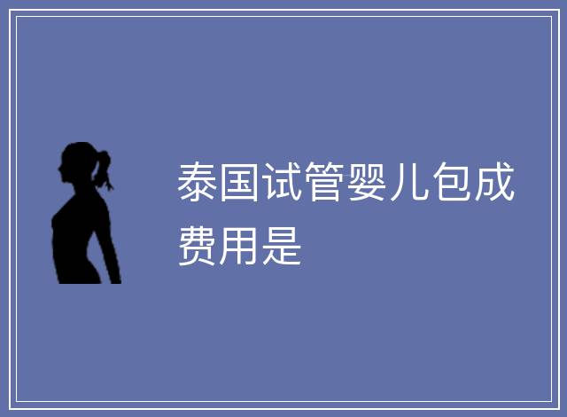 泰國試管嬰兒包成費用是