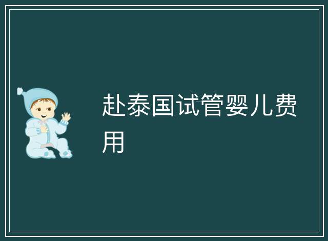 赴泰國試管嬰兒費用