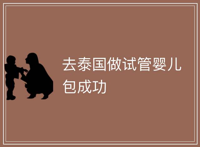去泰國做試管嬰兒包成功