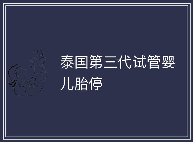 泰國(guó)第三代試管嬰兒胎停