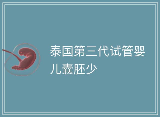 泰國(guó)第三代試管嬰兒囊胚少