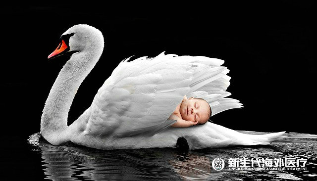 如何選擇泰國試管醫(yī)院呢 如何選擇泰國試管醫(yī)院呢